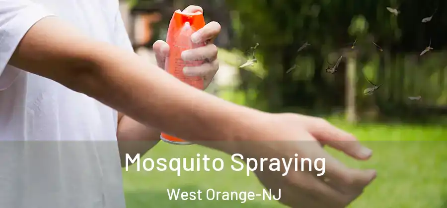 Mosquito Spraying West Orange-NJ