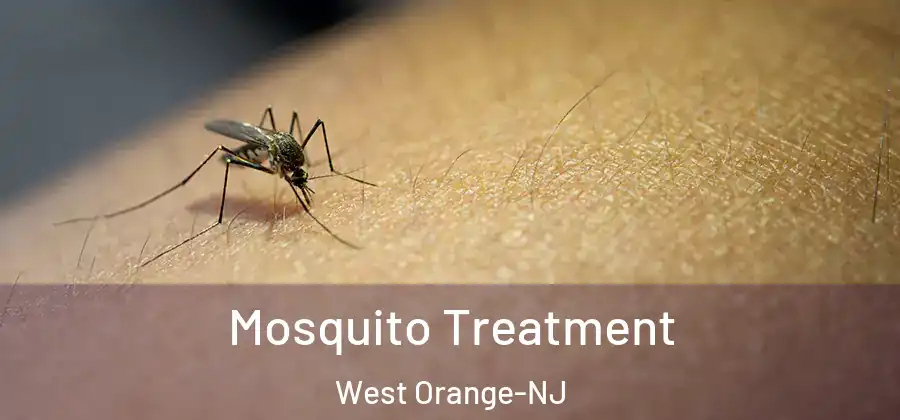 Mosquito Treatment West Orange-NJ