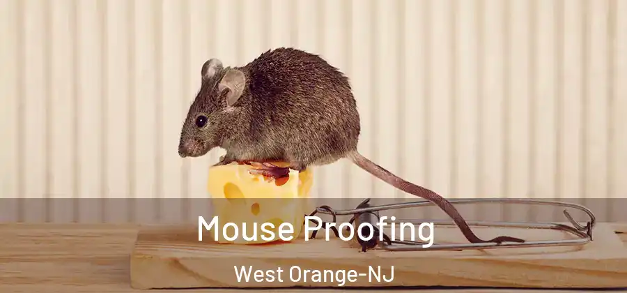 Mouse Proofing West Orange-NJ