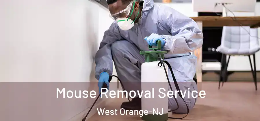  Mouse Removal Service West Orange-NJ