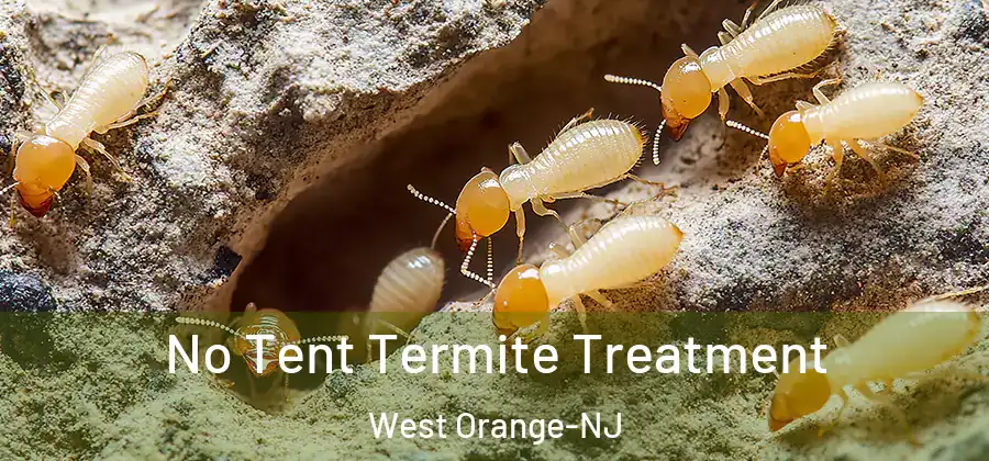 No Tent Termite Treatment West Orange-NJ