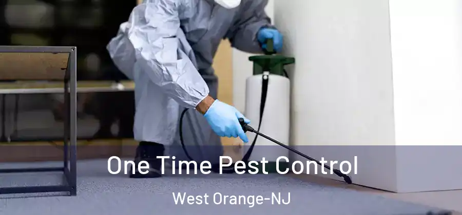 One Time Pest Control West Orange-NJ