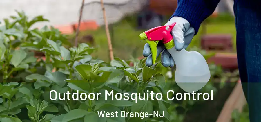 Outdoor Mosquito Control West Orange-NJ