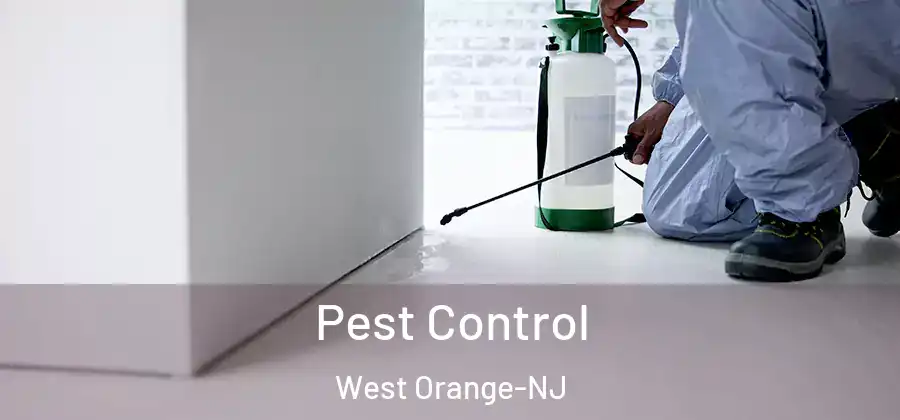 Pest Control West Orange-NJ