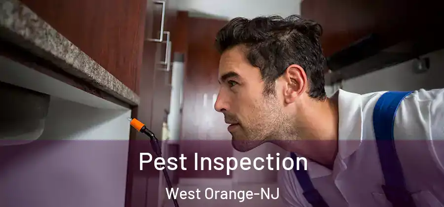 Pest Inspection West Orange-NJ