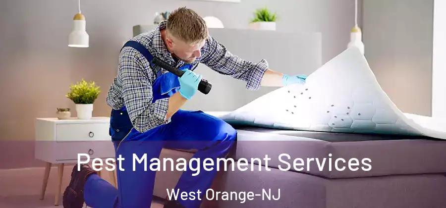 Pest Management Services West Orange-NJ