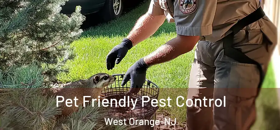 Pet Friendly Pest Control West Orange-NJ