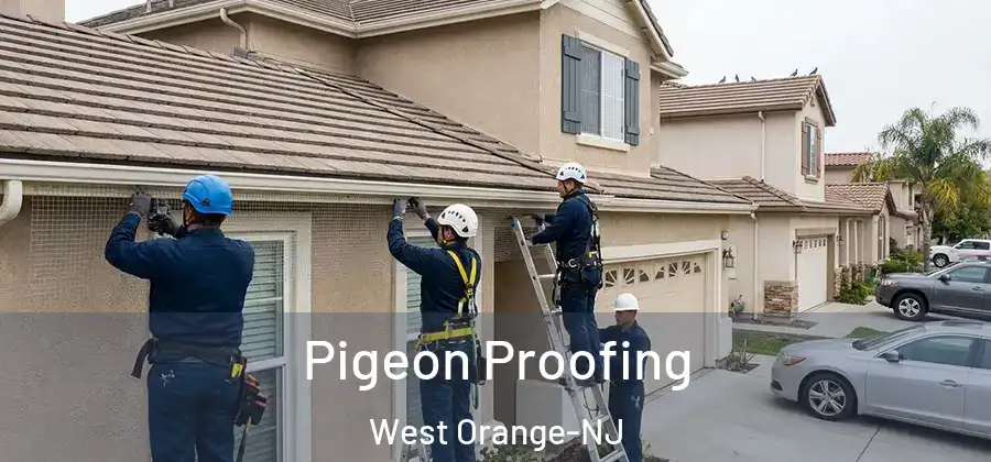  Pigeon Proofing West Orange-NJ