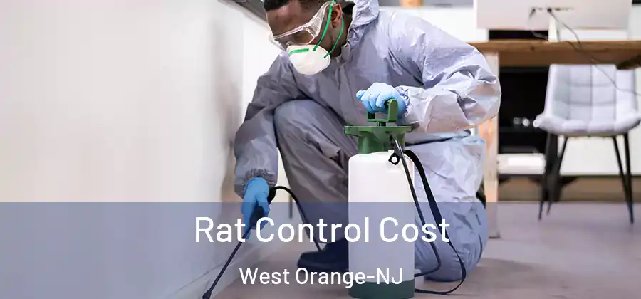  Rat Control Cost West Orange-NJ