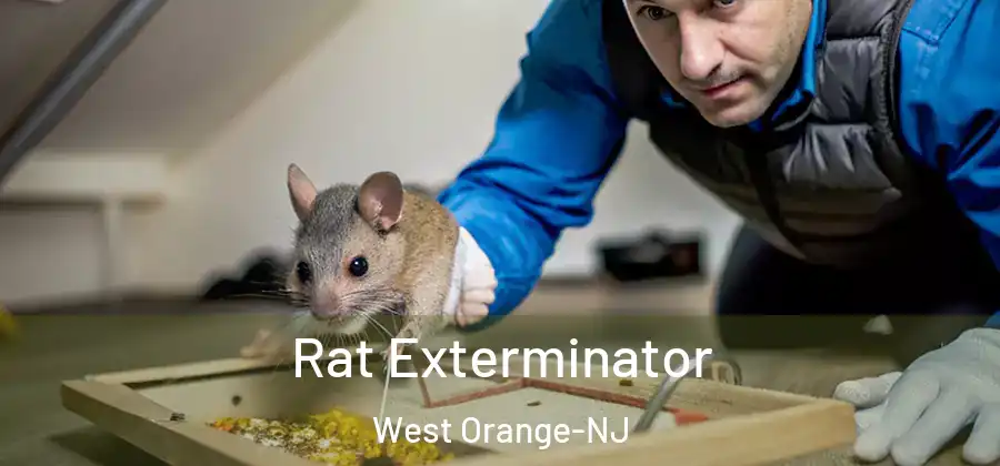 Rat Exterminator West Orange-NJ