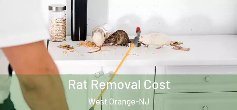 Rat Removal Cost West Orange-NJ