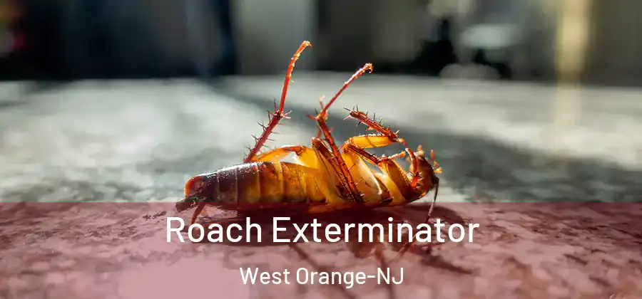 Roach Exterminator West Orange-NJ