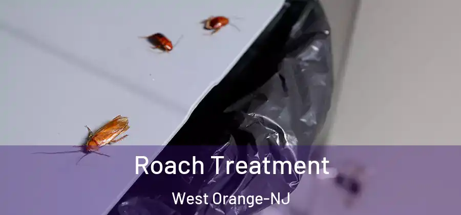 Roach Treatment West Orange-NJ