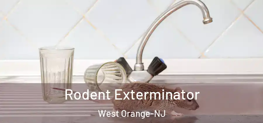 Rodent Exterminator West Orange-NJ