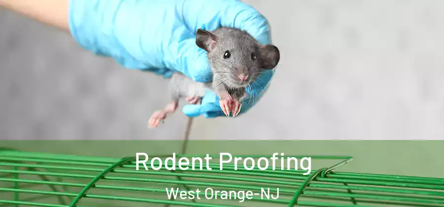 Rodent Proofing West Orange-NJ
