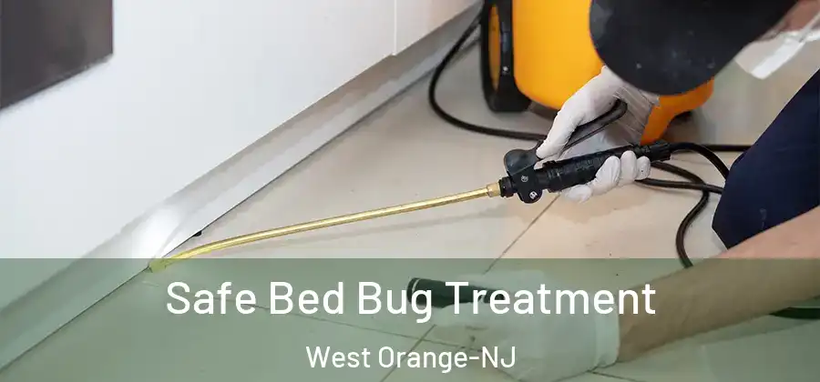 Safe Bed Bug Treatment West Orange-NJ