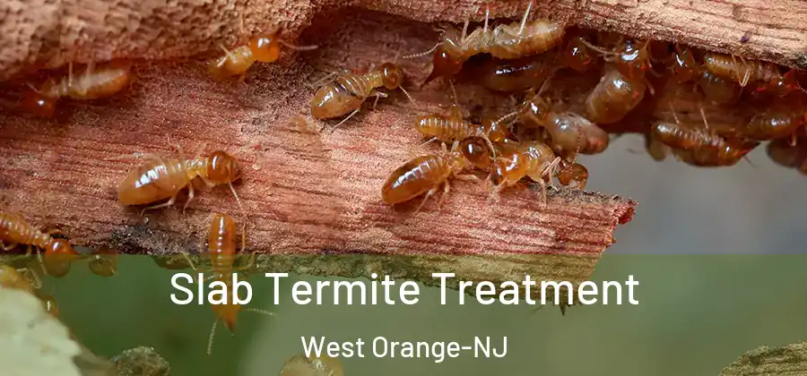 Slab Termite Treatment West Orange-NJ