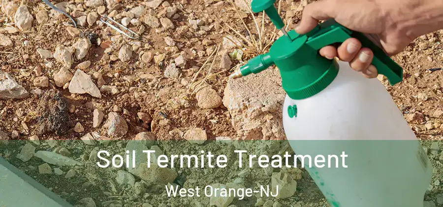 Soil Termite Treatment West Orange-NJ
