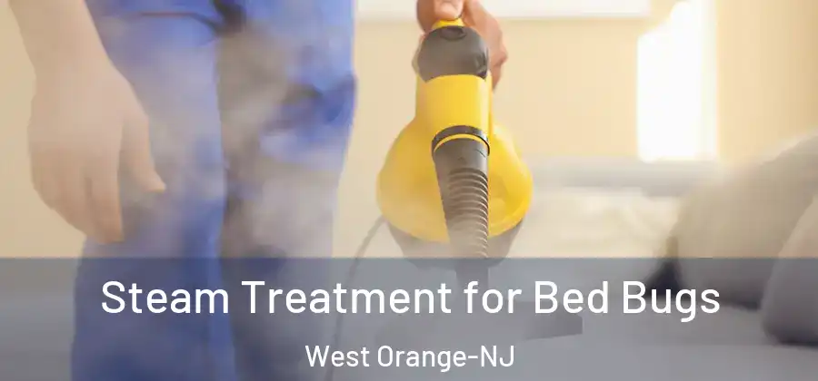 Steam Treatment for Bed Bugs West Orange-NJ