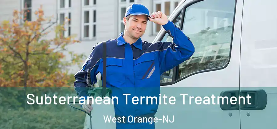 Subterranean Termite Treatment West Orange-NJ