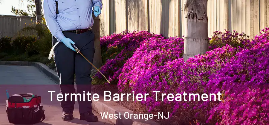 Termite Barrier Treatment West Orange-NJ