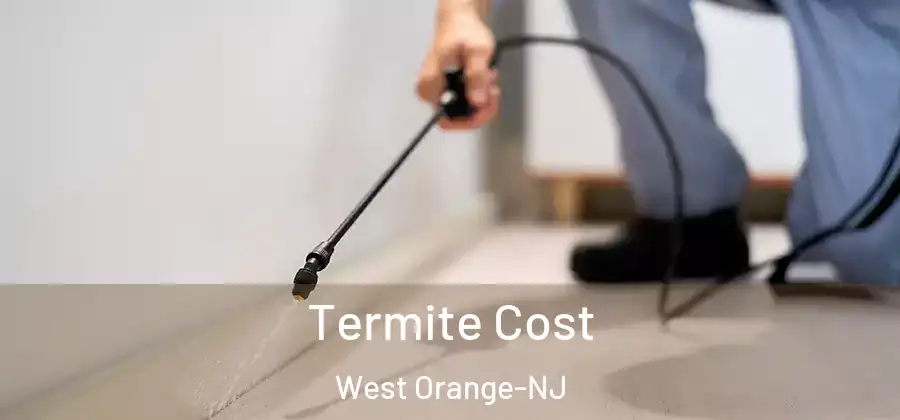 Termite Cost West Orange-NJ