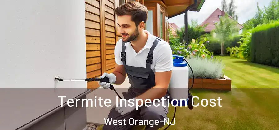  Termite Inspection Cost West Orange-NJ