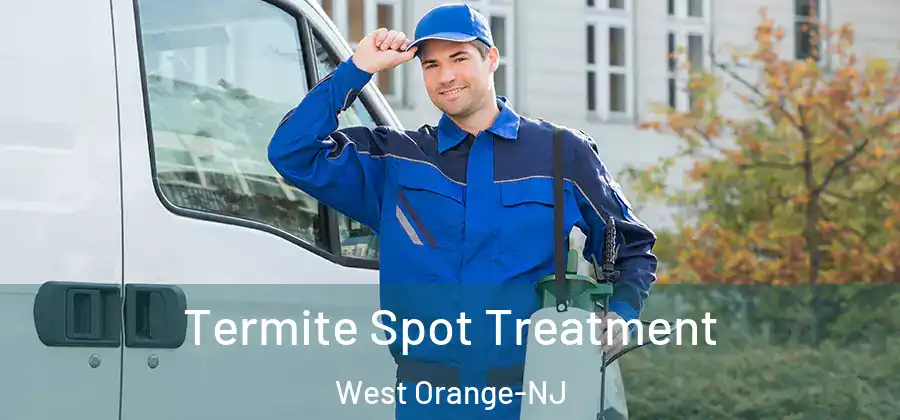 Termite Spot Treatment West Orange-NJ
