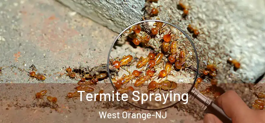 Termite Spraying West Orange-NJ