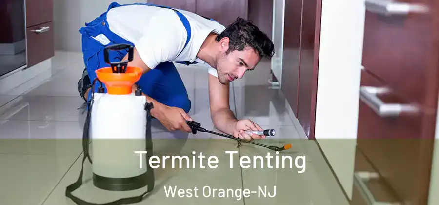 Termite Tenting West Orange-NJ