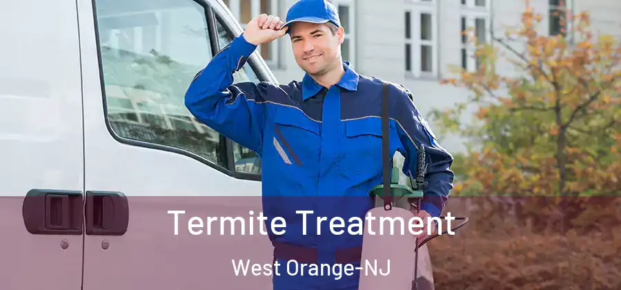 Termite Treatment West Orange-NJ
