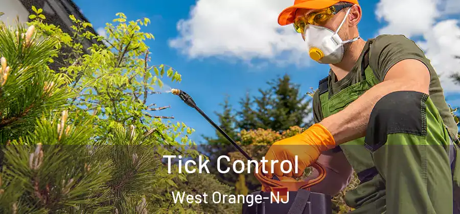 Tick Control West Orange-NJ