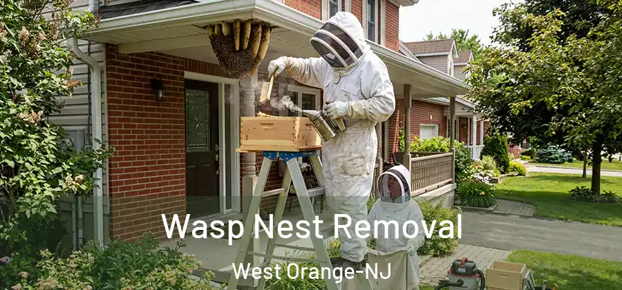 Wasp Nest Removal West Orange-NJ