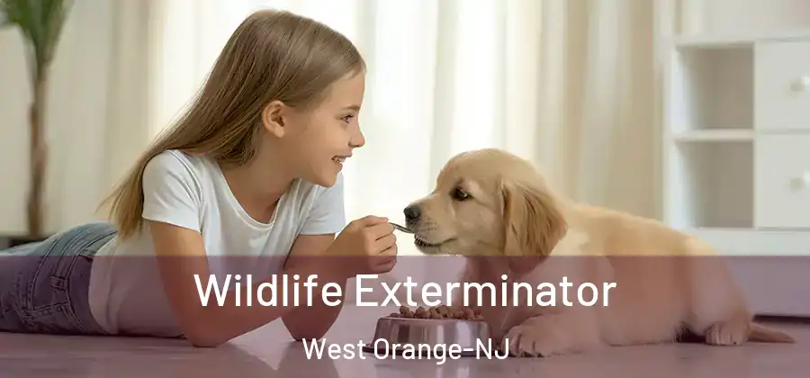 Wildlife Exterminator West Orange-NJ