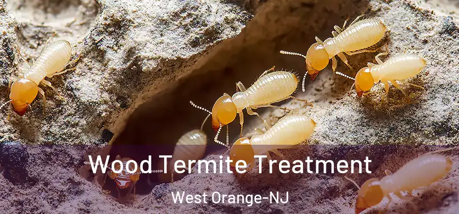  Wood Termite Treatment West Orange-NJ